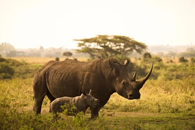 भारत का सबसे बड़ा राष्ट्रीय उद्यान कौन सा है 2022 (Bharat Ka Sabse Bada National Park Top 10)