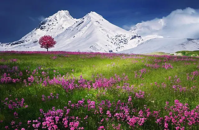 भारत का सबसे बड़ा राष्ट्रीय उद्यान कौन सा है 2022 (Bharat Ka Sabse Bada National Park Top 10)