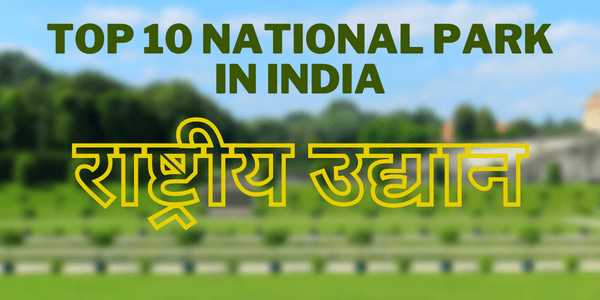 भारत का सबसे बड़ा राष्ट्रीय उद्यान कौन सा है BHARAT KA SABSE BADA NATIONAL PARK