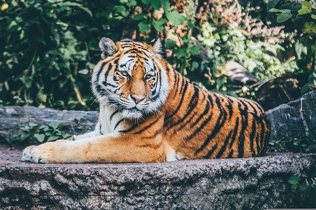 भारत का सबसे बड़ा राष्ट्रीय उद्यान कौन सा है 2022 (Bharat Ka Sabse Bada National Park Top 10)