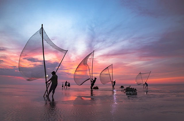 vietnam tour package from india