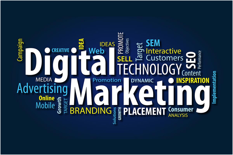 Niche Specializations Digital Marketing Institute Offerings